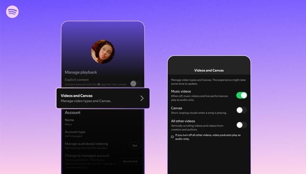 Spotify's official image for its video controls announcement